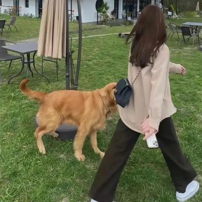 飞马